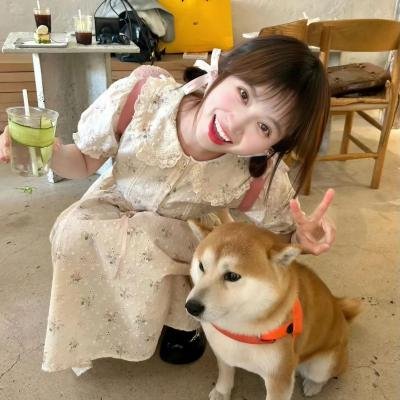 豪侠